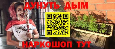 гидра Заводоуковск