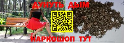гидра Заводоуковск