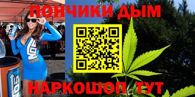 гидра Заводоуковск